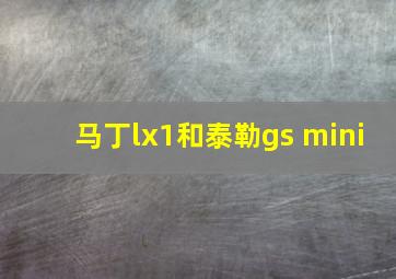 马丁lx1和泰勒gs mini